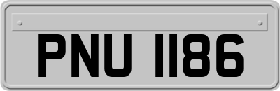 PNU1186