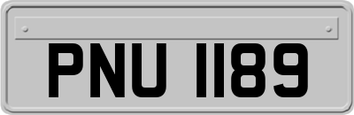 PNU1189