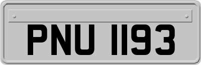 PNU1193