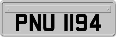 PNU1194