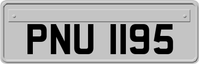 PNU1195