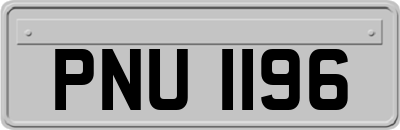 PNU1196