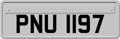 PNU1197