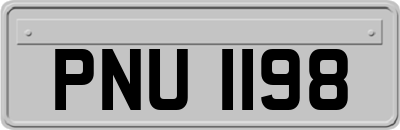 PNU1198