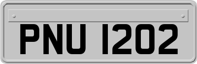 PNU1202