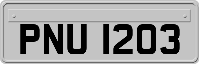PNU1203