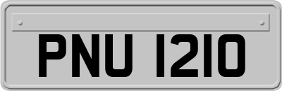 PNU1210