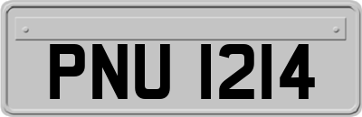 PNU1214