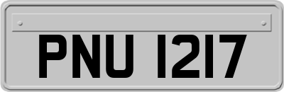 PNU1217