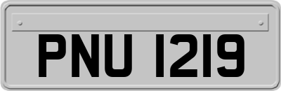 PNU1219