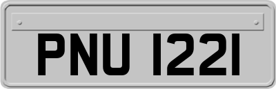 PNU1221