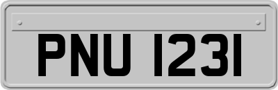 PNU1231