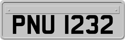PNU1232