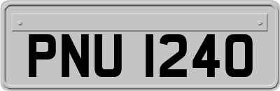 PNU1240