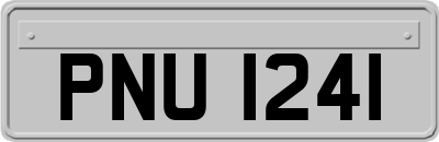 PNU1241