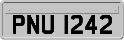 PNU1242