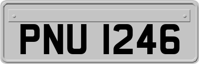 PNU1246