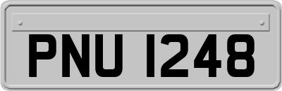 PNU1248