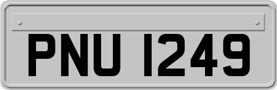 PNU1249