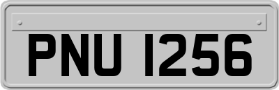 PNU1256