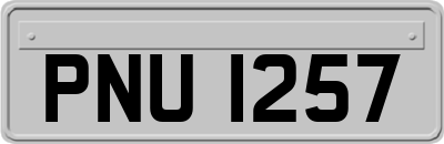 PNU1257