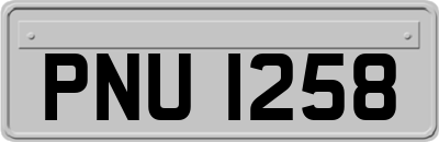 PNU1258