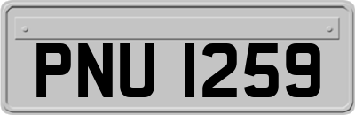 PNU1259