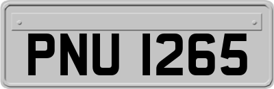 PNU1265