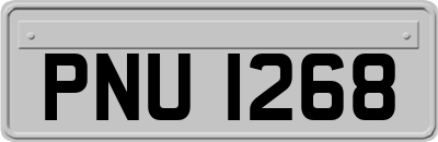 PNU1268