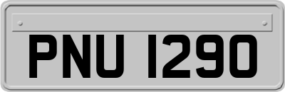 PNU1290