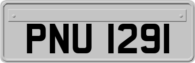 PNU1291