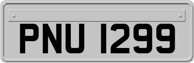 PNU1299