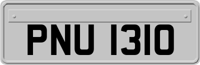 PNU1310