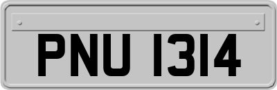 PNU1314