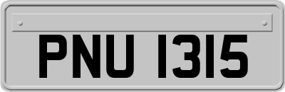 PNU1315