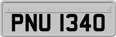 PNU1340