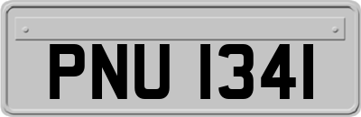 PNU1341