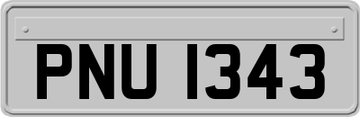PNU1343