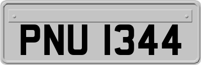 PNU1344