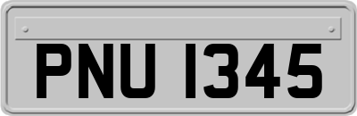 PNU1345