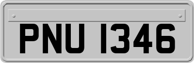 PNU1346