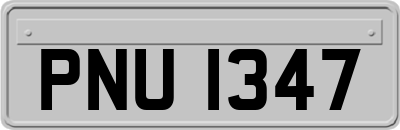PNU1347