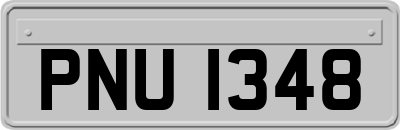 PNU1348