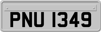 PNU1349