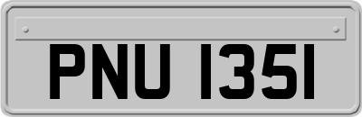 PNU1351