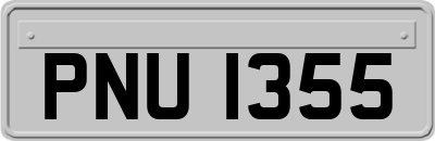 PNU1355