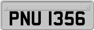 PNU1356