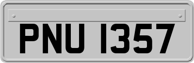 PNU1357
