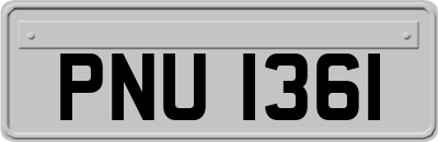PNU1361