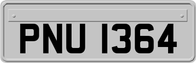 PNU1364